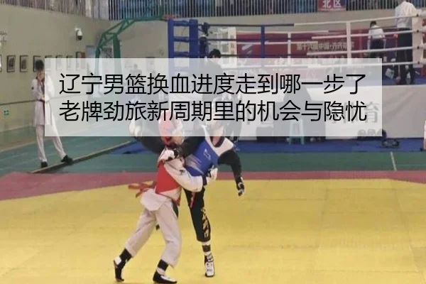 辽宁男篮换血进度走到哪一步了 老牌劲旅新周期里的机会与隐忧